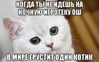 когда ты не идешь на ночную игротеку ош в мире грустит один котик