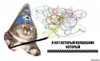 я кот который волшебник который ааааааааааааааааааааааааааааа