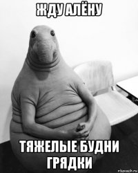 жду алёну тяжелые будни грядки