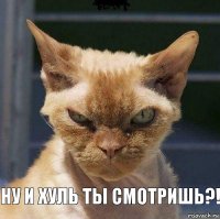  Ну и хуль ты смотришь?!