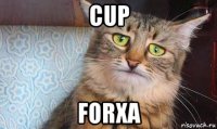 cup forxa