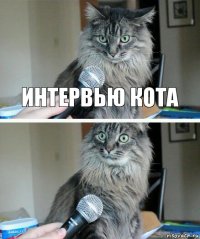 Интервью кота 