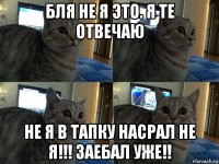 бля не я это. я те отвечаю не я в тапку насрал не я!!! заебал уже!!