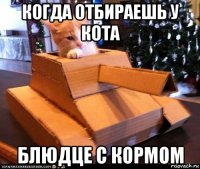 когда отбираешь у кота блюдце с кормом