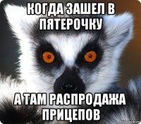 когда зашел в пятерочку а там распродажа прицепов