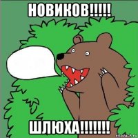 новиков!!!!! шлюха!!!!!!!