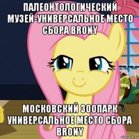 палеонтологический музей-универсальное место сбора brony московский зоопарк универсальное место сбора brony