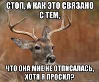 стоп, а как это связано с тем, что она мне не отписалась, хотя я просил?