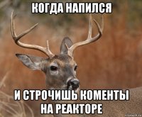 когда напился и строчишь коменты на реакторе