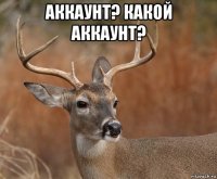 аккаунт? какой аккаунт? 