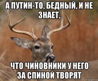 а путин-то, бедный, и не знает, что чиновники у него за спиной творят