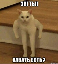 эй! ты! хавать есть?