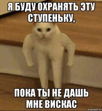 я буду охранять эту ступеньку, пока ты не дашь мне вискас