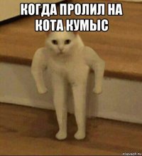 когда пролил на кота кумыс 