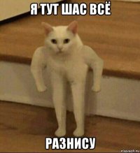 я тут шас всё разнису