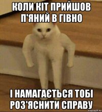 коли кіт прийшов п'яний в гівно і намагається тобі роз'яснити справу