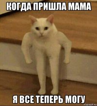 когда пришла мама я все теперь могу