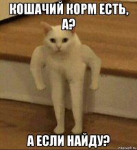 кошачий корм есть, а? а если найду?