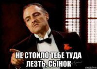  не стоило тебе туда лезть, сынок