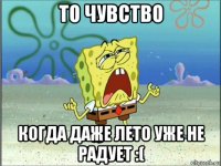 то чувство когда даже лето уже не радует :(