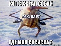 кот сожрал собак где моя сосиска ?