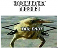 что значит нет письки?! 