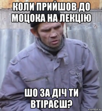 коли прийшов до моцока на лекцію шо за діч ти втіраєш?