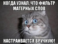 когда узнал, что фильтр матерных слов настраивается вручную!