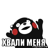 Лемур узбагойся. Простите меня пожалуйста. Больше нечего сказать мем. Картинка да ладно. Мемы с котиками.