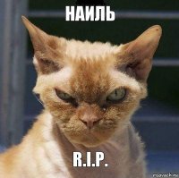 Наиль R.I.P.