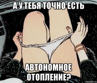 а у тебя точно есть автономное отопление?