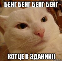 бенг бенг бенг бенг котце в здании!!