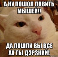 а ну пошол ловить мышей!! да пошли вы все ах ты дэрзкий!