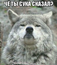 чё ты сука сказал? 