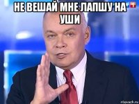 не вешай мне лапшу на уши 