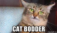  cat bodder