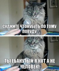 скажите чтонубуть по тому повуду ты ебанутый я кот а не человек!