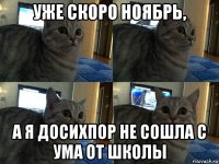 уже скоро ноябрь, а я досихпор не сошла с ума от школы