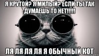 я крутой? я милый? если ты так думаешь то нет!!!!! ля ля ля ля я обычный кот