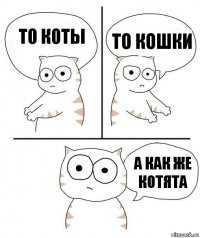 то коты то кошки а как же котята