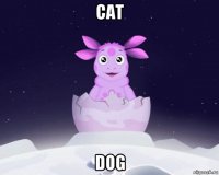 cat dog