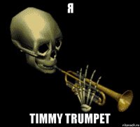 я timmy trumpet