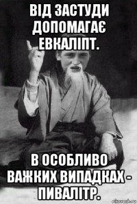 від застуди допомагає евкаліпт. в особливо важких випадках - пивалітр.