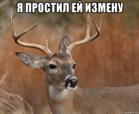 я простил ей измену 