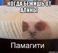 когда бежишь от алины 