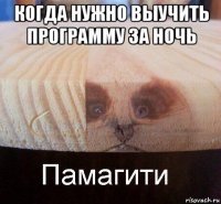 когда нужно выучить программу за ночь 