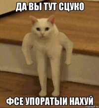 да вы тут сцуко фсе упоратыи нахуй