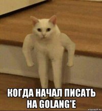  когда начал писать на golang'e