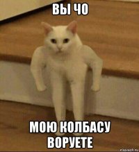 вы чо мою колбасу воруете