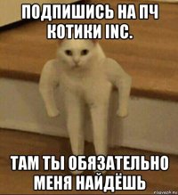 подпишись на пч котики inc. там ты обязательно меня найдёшь